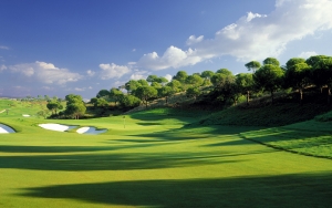 Landscape golf